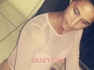 CASEY2004