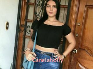 Canelaholly