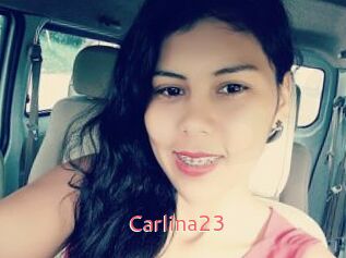 Carlina23