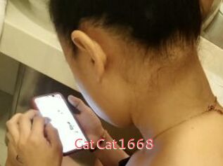 CatCat1668