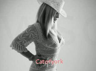 Catofyork