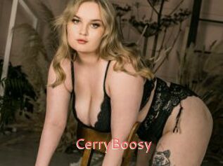 CerryBoosy
