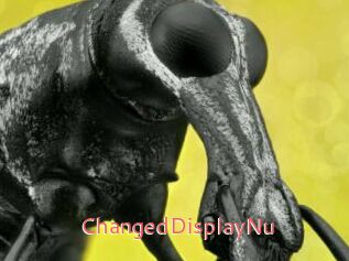 ChangedDisplayNu