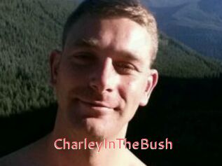CharleyInTheBush Webcam Sexe Direct