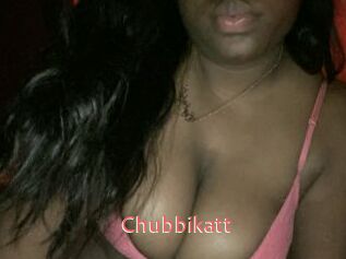 Chubbikatt