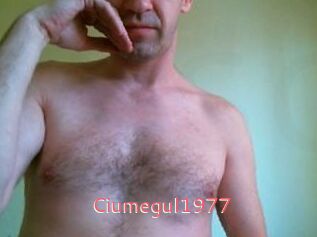 Ciumegul1977