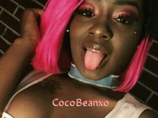 CocoBeanxo