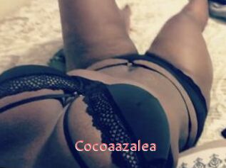 Cocoaazalea