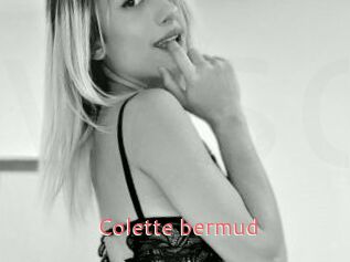 Colette_bermud