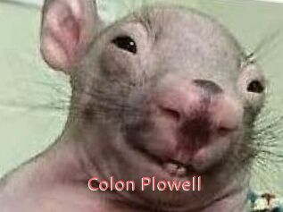 Colon_Plowell