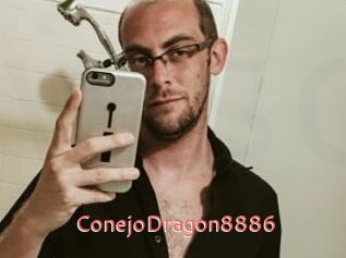 ConejoDragon8886