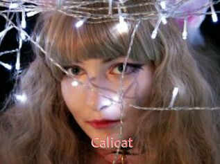 Calicat