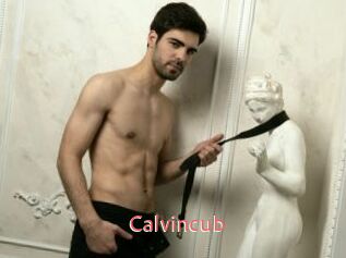 Calvincub