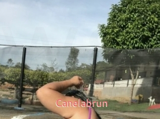 Canelabrun