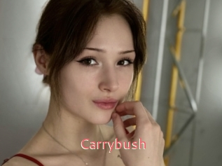 Carrybush