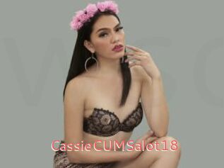 CassieCUMSalot18