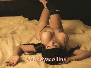 Cataleyacollins