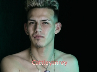 cattleyanrey Webcam Sexe Direct