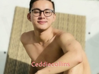 Ceddiecollins