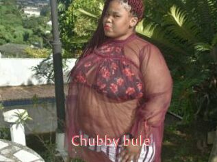 Chubby_bule