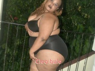 Cleo_bule