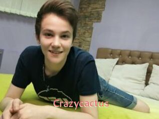 Crazycactus