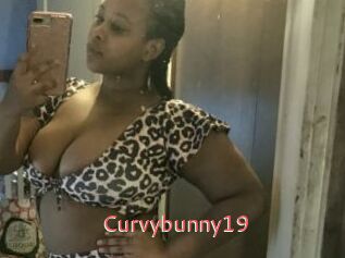 Curvybunny19