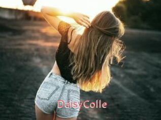 DaisyColle