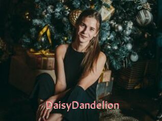 DaisyDandelion