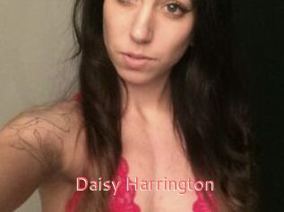 Daisy_Harrington