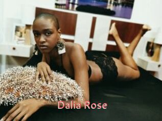 Dalia_Rose