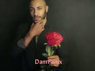 DamFenix