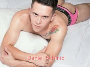 Daniel_Schmid