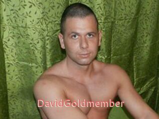 DavidGoldmember