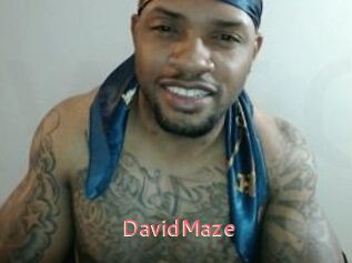 David_Maze