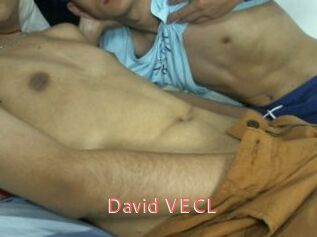 David_VECL