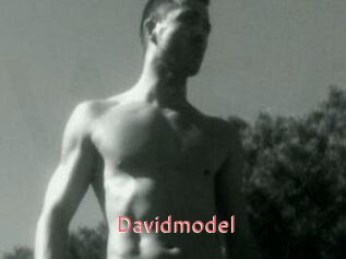 Davidmodel