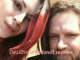 DeziDisturbedandEsection