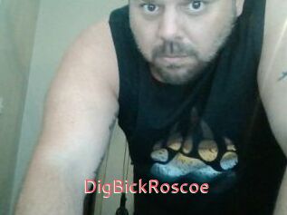 DigBickRoscoe