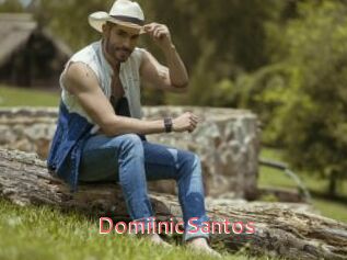 DomiinicSantos