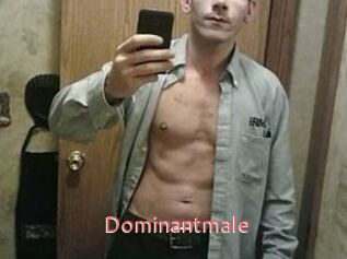 Dominantmale