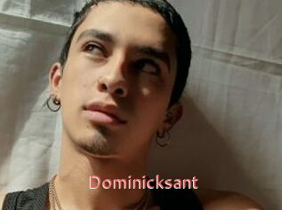 Dominicksant