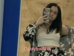 Daisybulkley