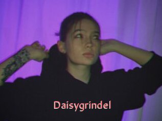 Daisygrindel