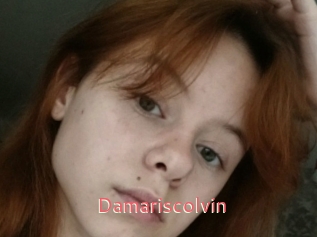Damariscolvin