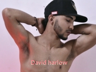 David_harlow