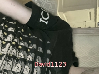 David1123