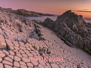 Davidhmodel