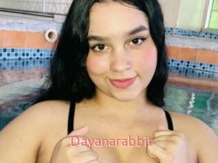 Dayanarabbit
