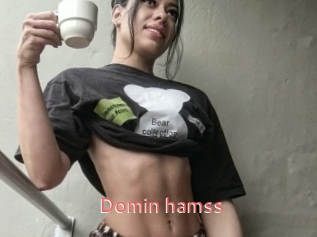 Domin_hamss